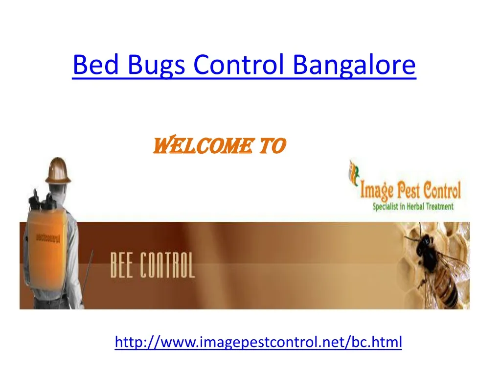 PPT Bed Bugs Control Bangalore PowerPoint Presentation, free download