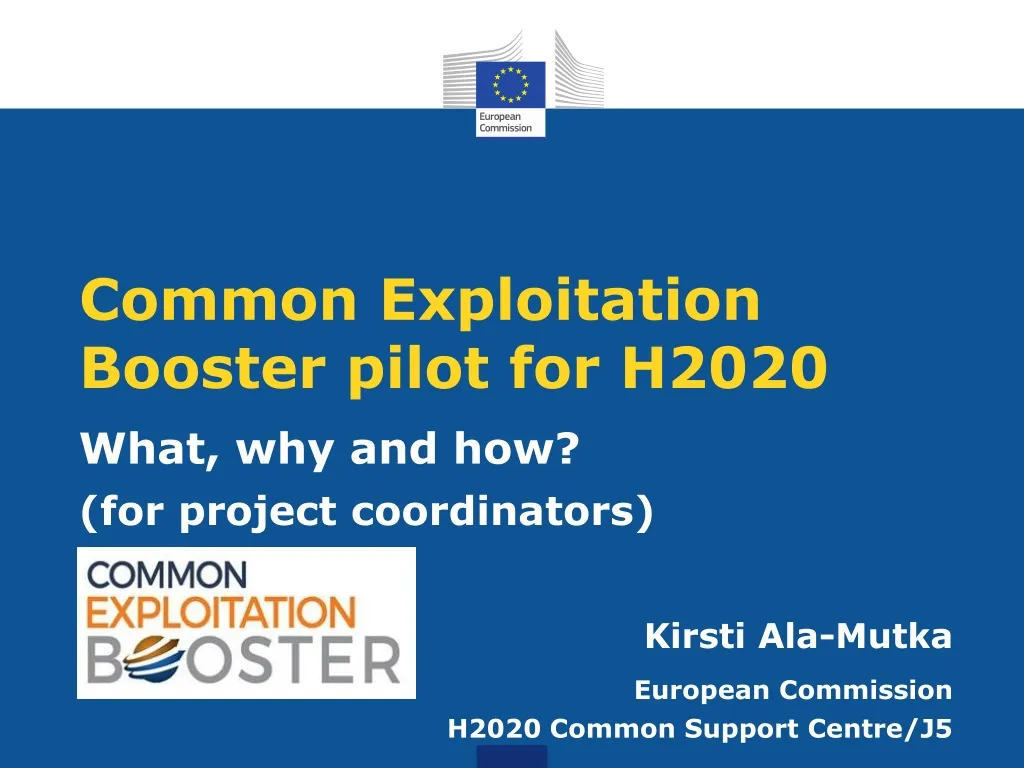 common exploitation booster pilot for h2020 n.