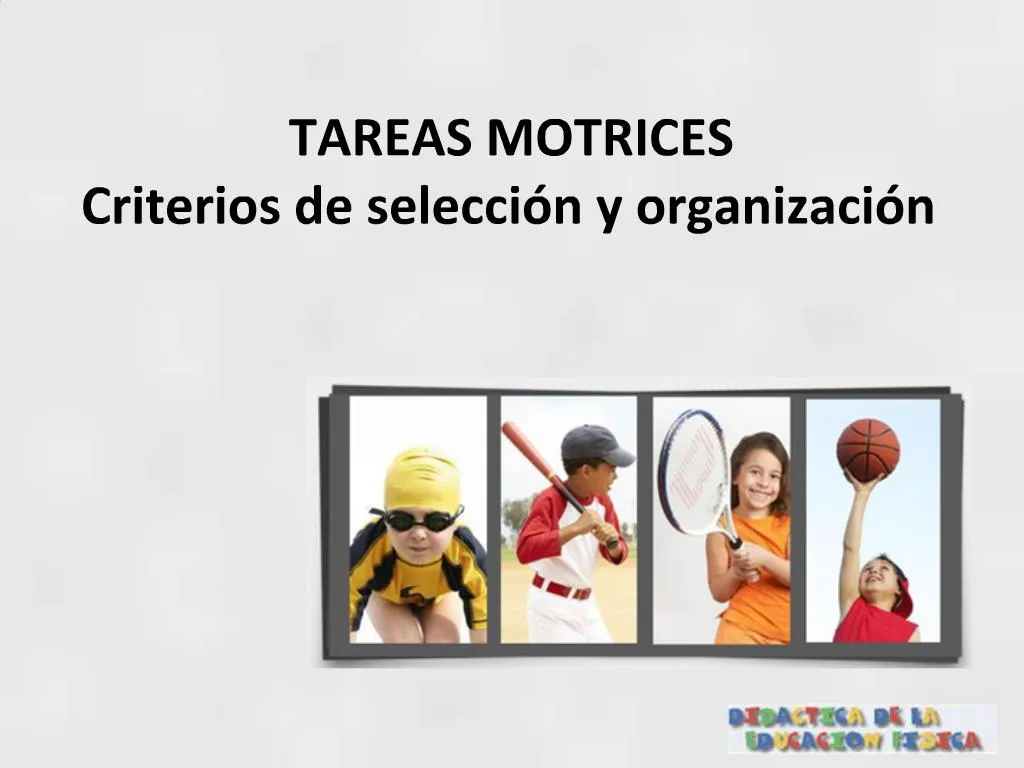 PPT - TAREAS MOTRICES Criterios De Selecci N Y Organizaci N PowerPoint ...