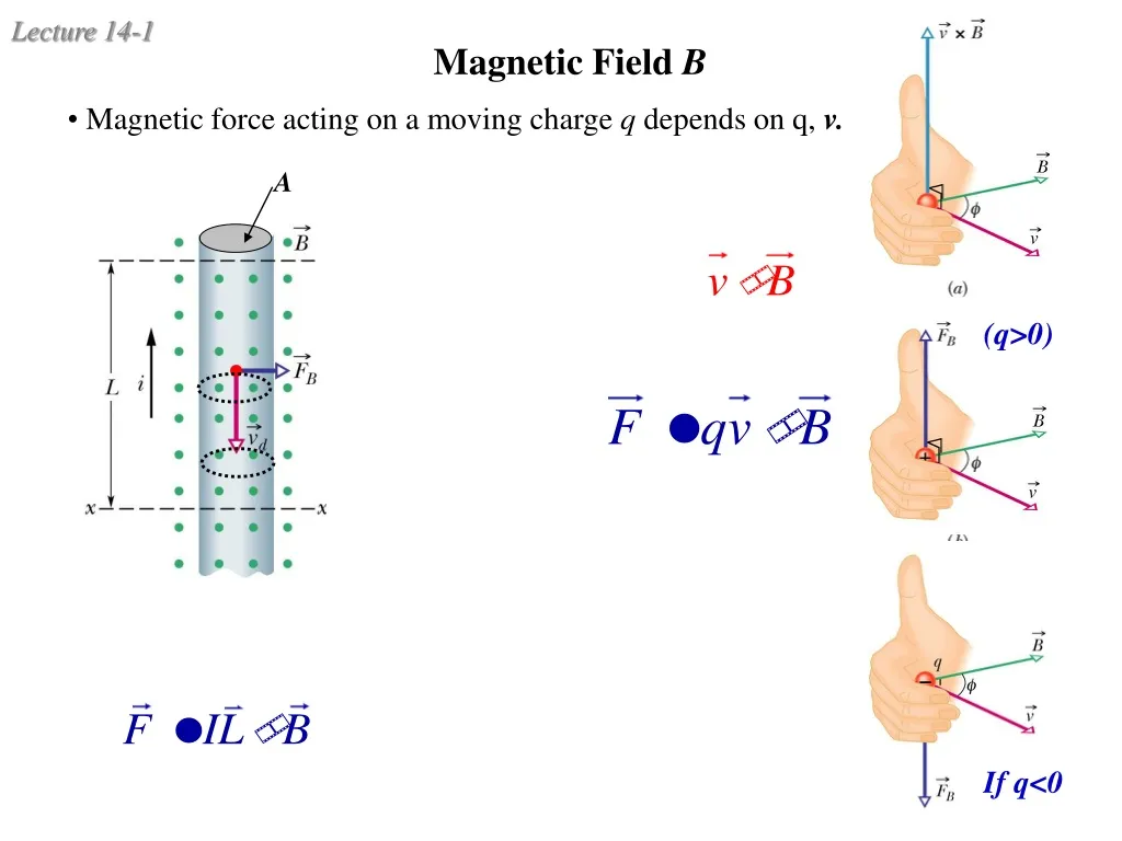 magnetic field b n.