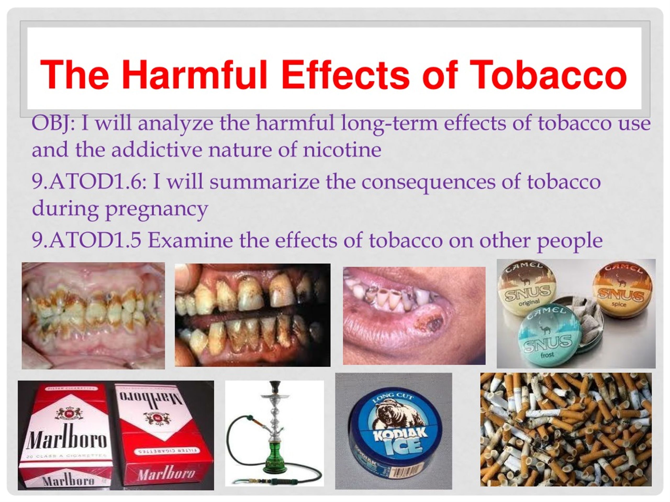 essay on effects of tobacco