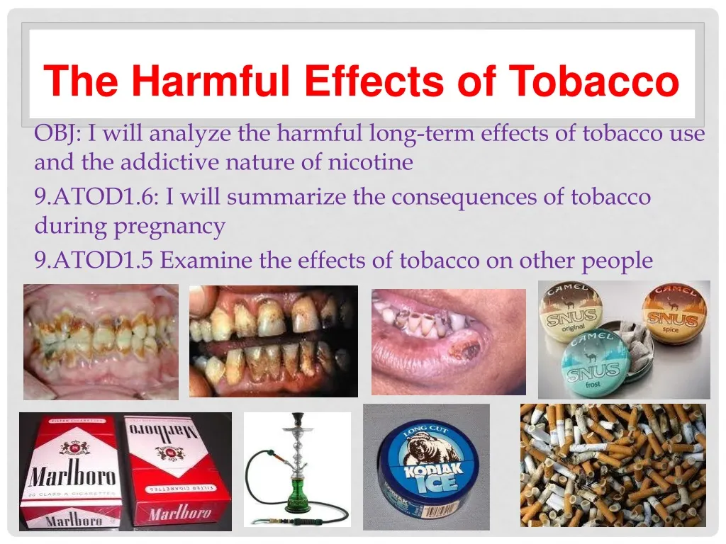 essay on tobacco effects