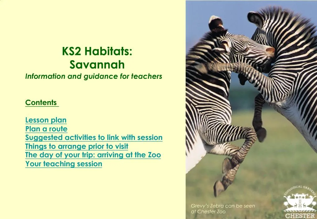 PPT KS2 Habitats Savannah Information and guidance for teachers