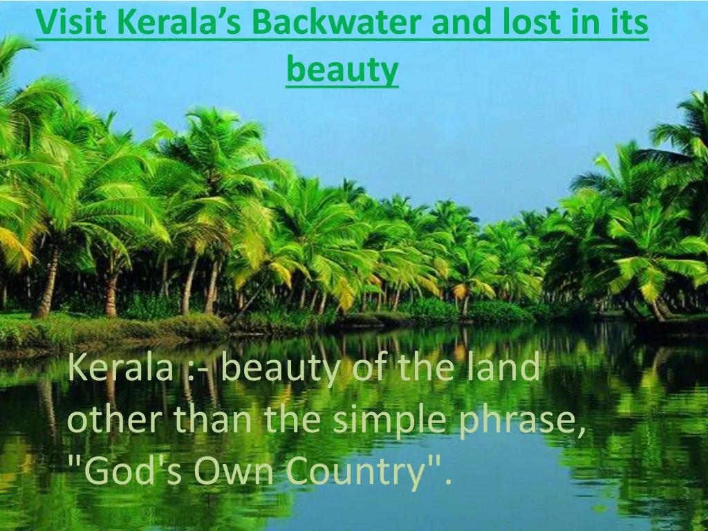 visit kerala s backwater and lost in its beauty n.