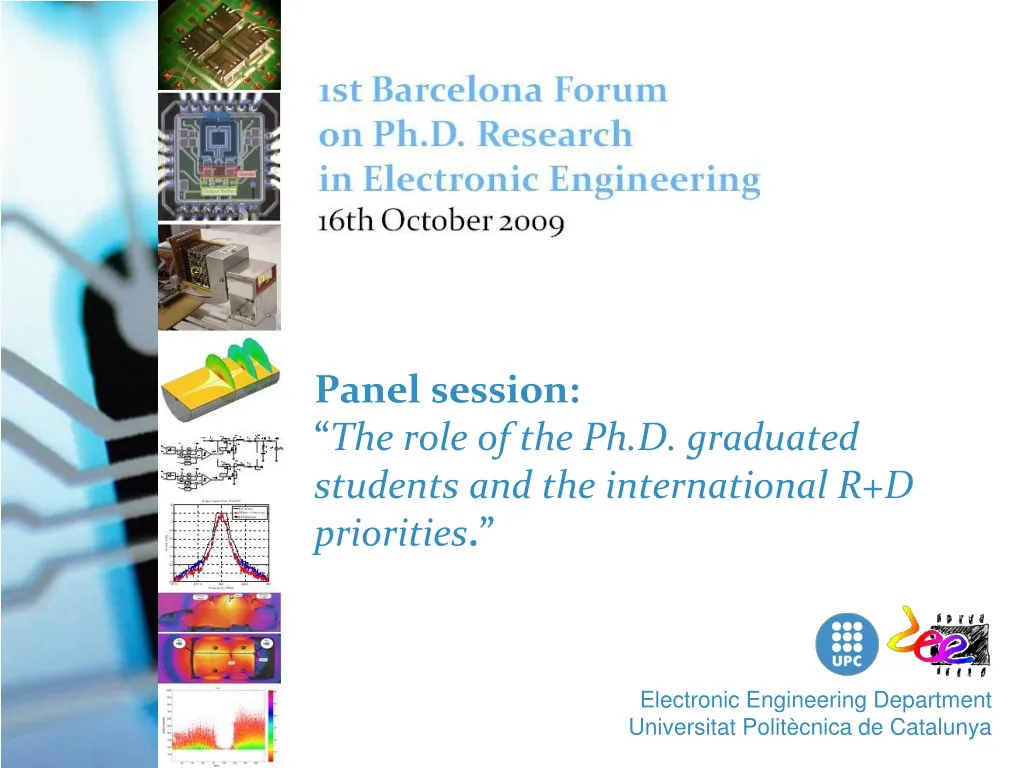 panel session the role of the ph d graduated students and the international r d priorities n.