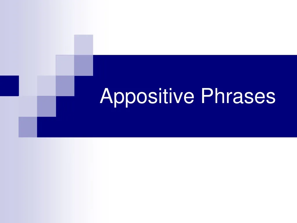 appositive phrases n.