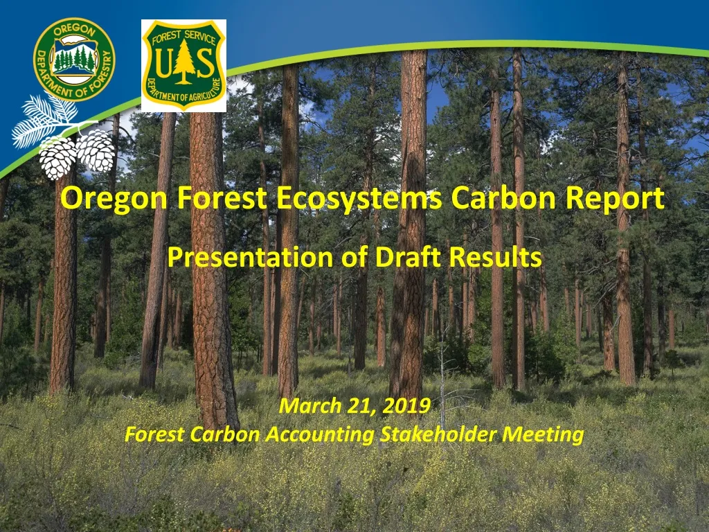 Ppt Oregon Forest Ecosystems Carbon Report Powerpoint Presentation Free Download Id 1152968