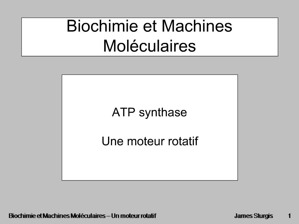 PPT - Biochimie Et Machines Mol Culaires PowerPoint Presentation, Free ...