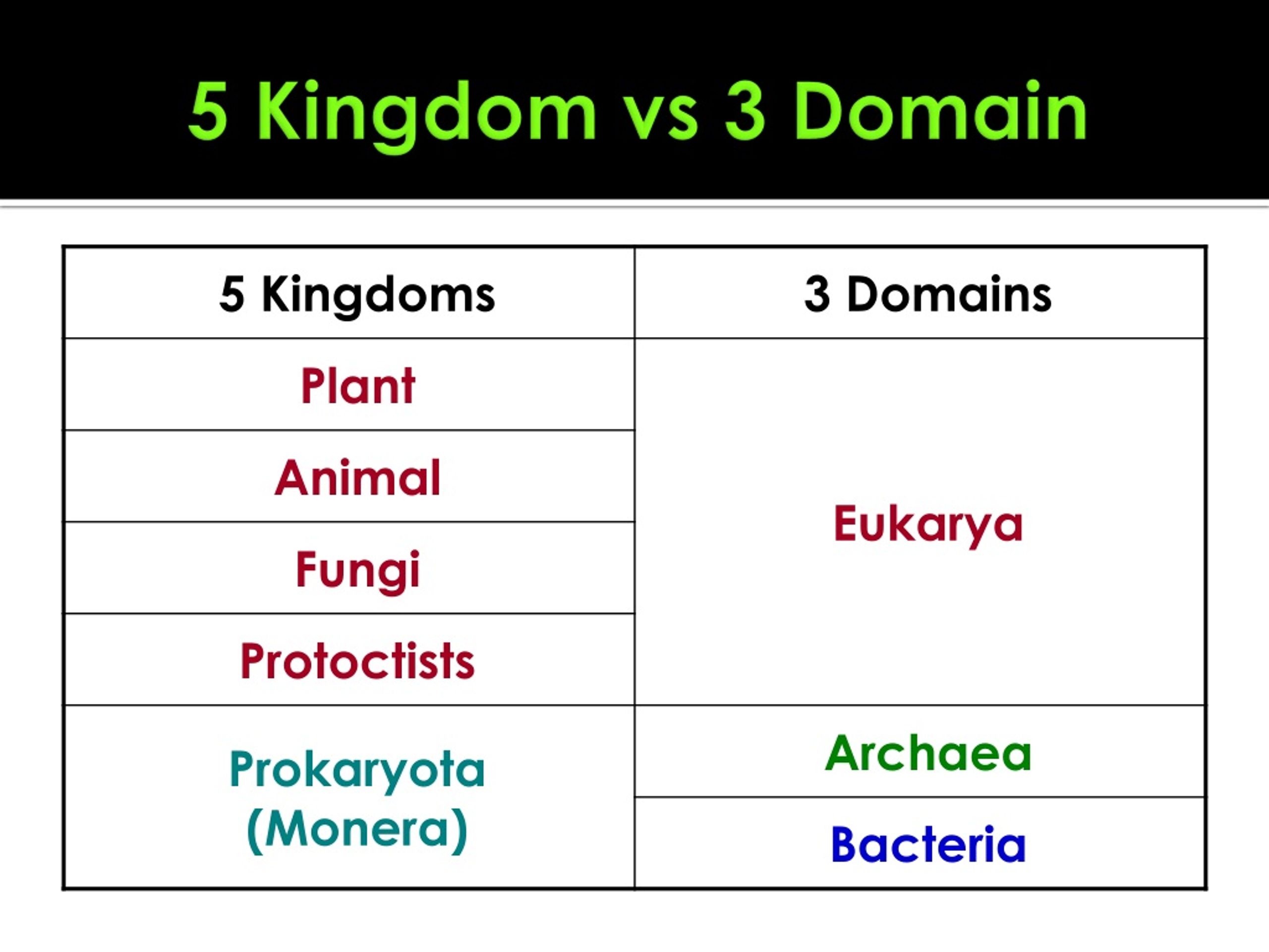 which table correctly identifies the three kingdoms