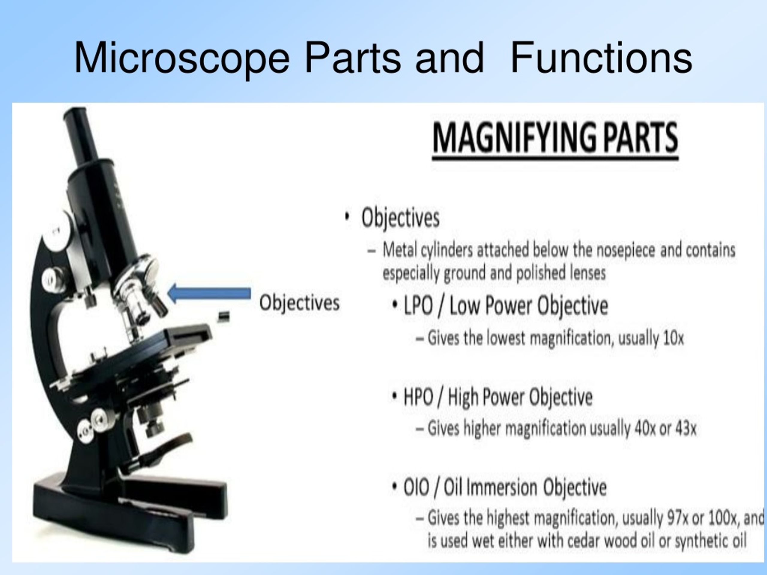 Ppt Identifying The Components Of A Compound Microscope Powerpoint | My ...