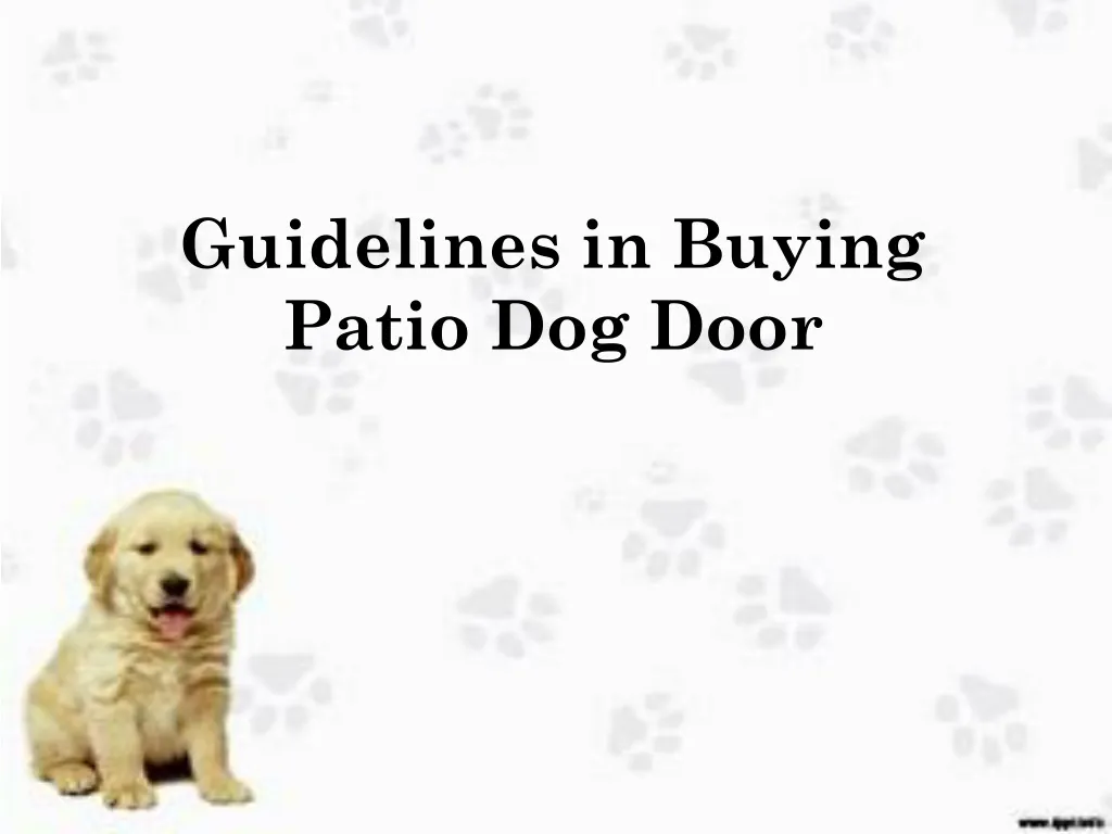 guidelines in buying patio dog door n.