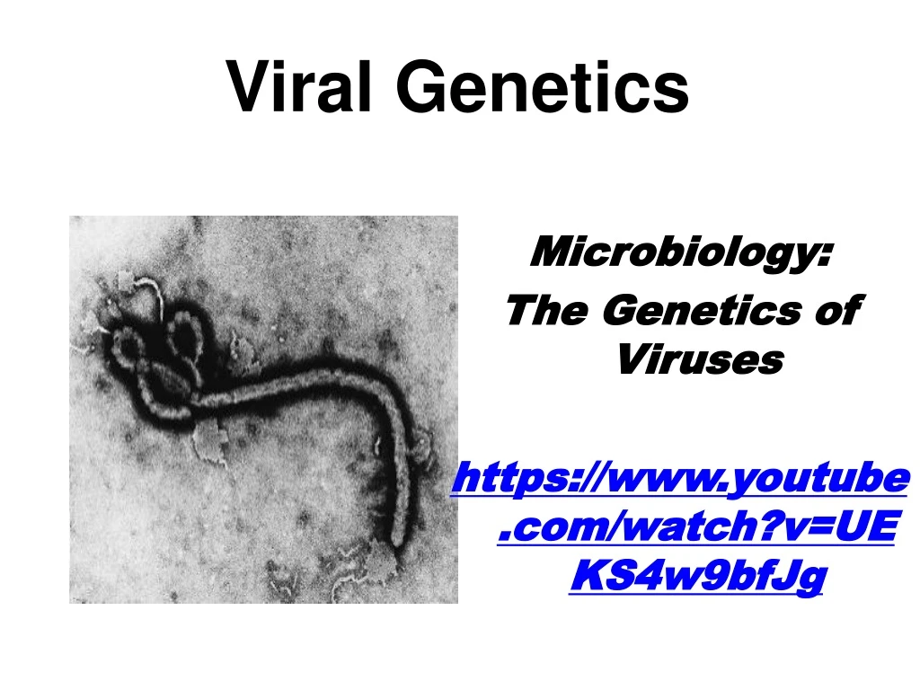 viral genetics n.