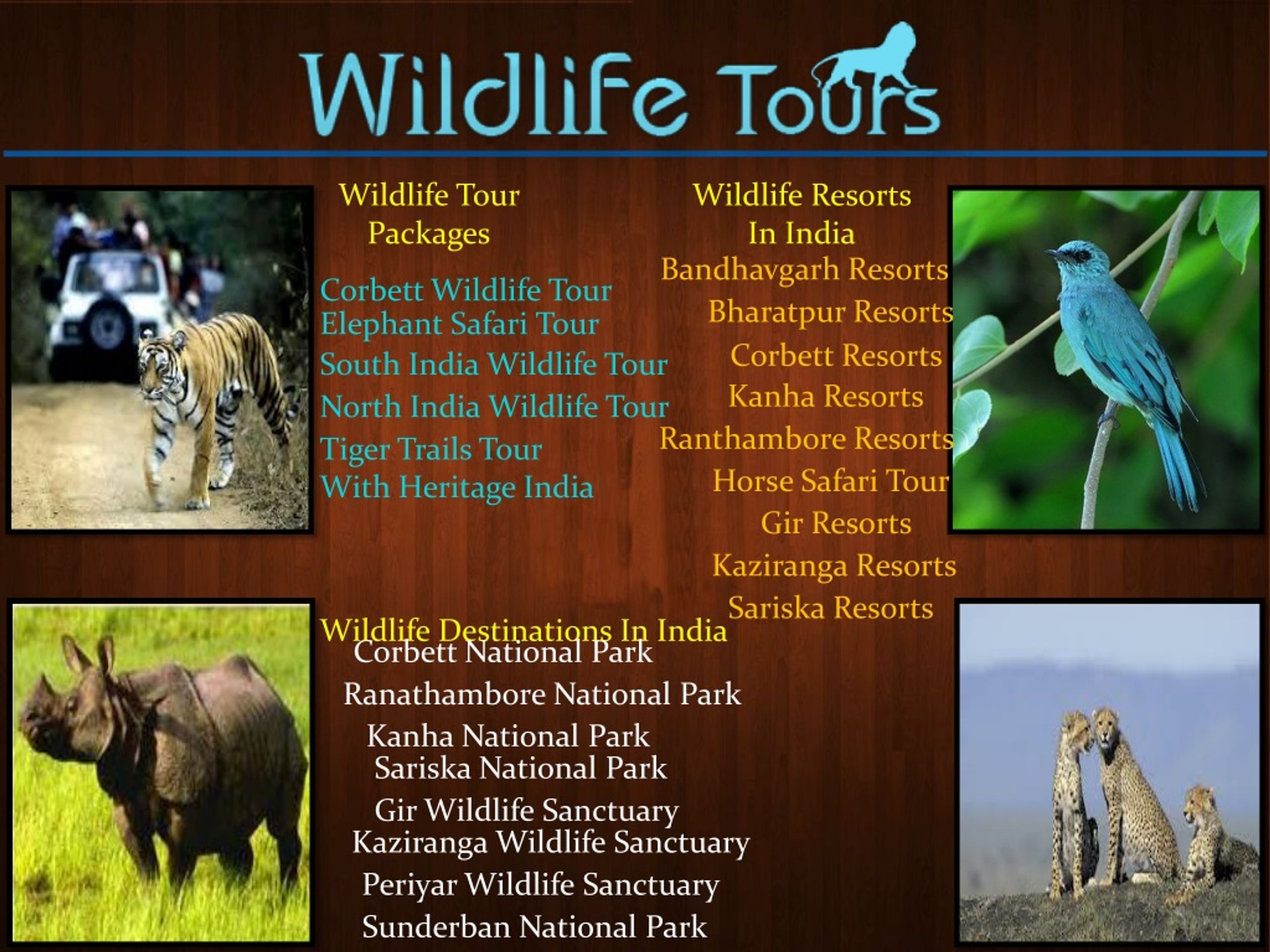 wildlife tourism in india ppt