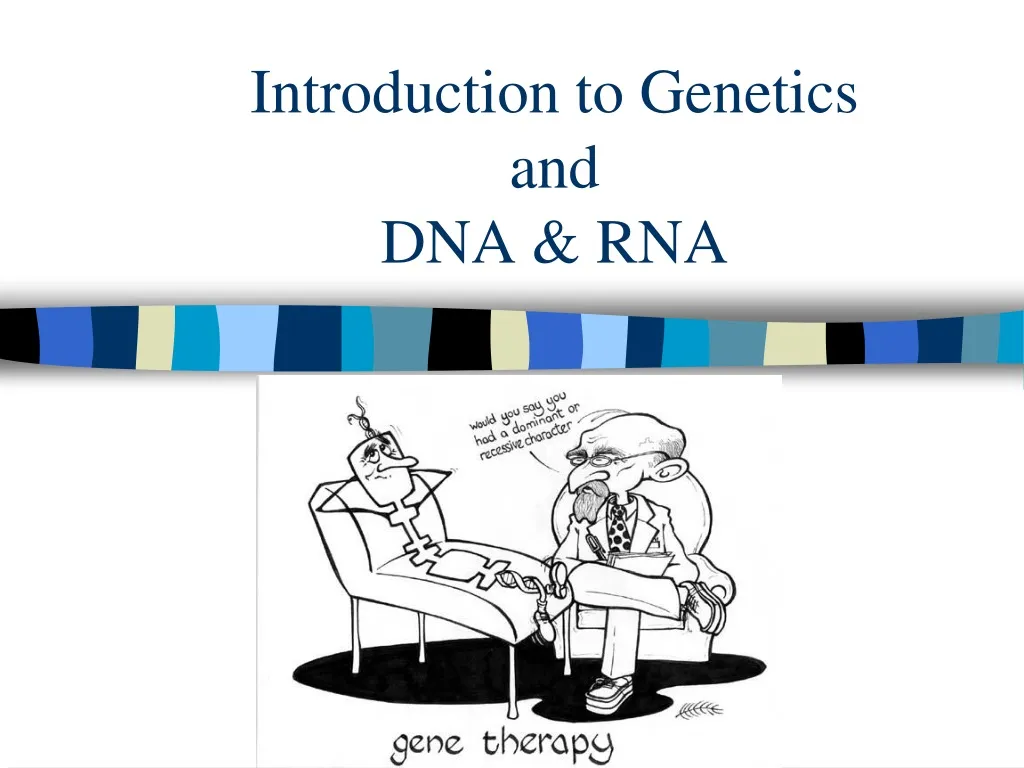 introduction to genetics and dna rna n.