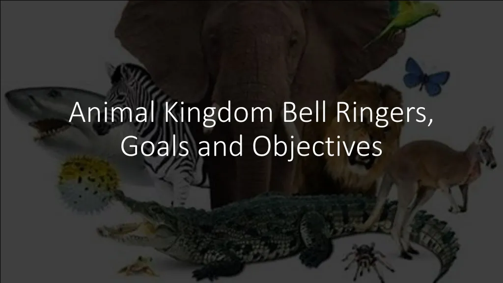 animal kingdom bell ringers goals and objectives n.