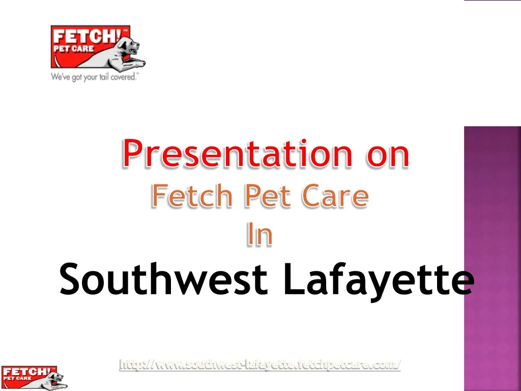 presentation on fetch pet care in southwest n.