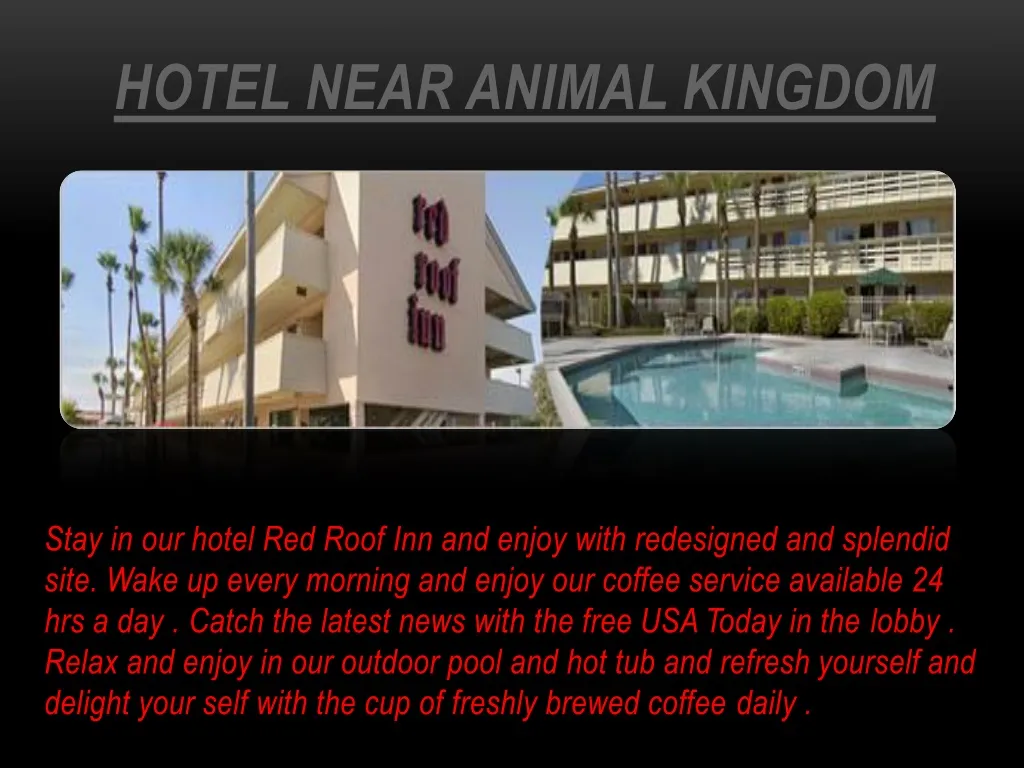 hotel near animal kingdom n.