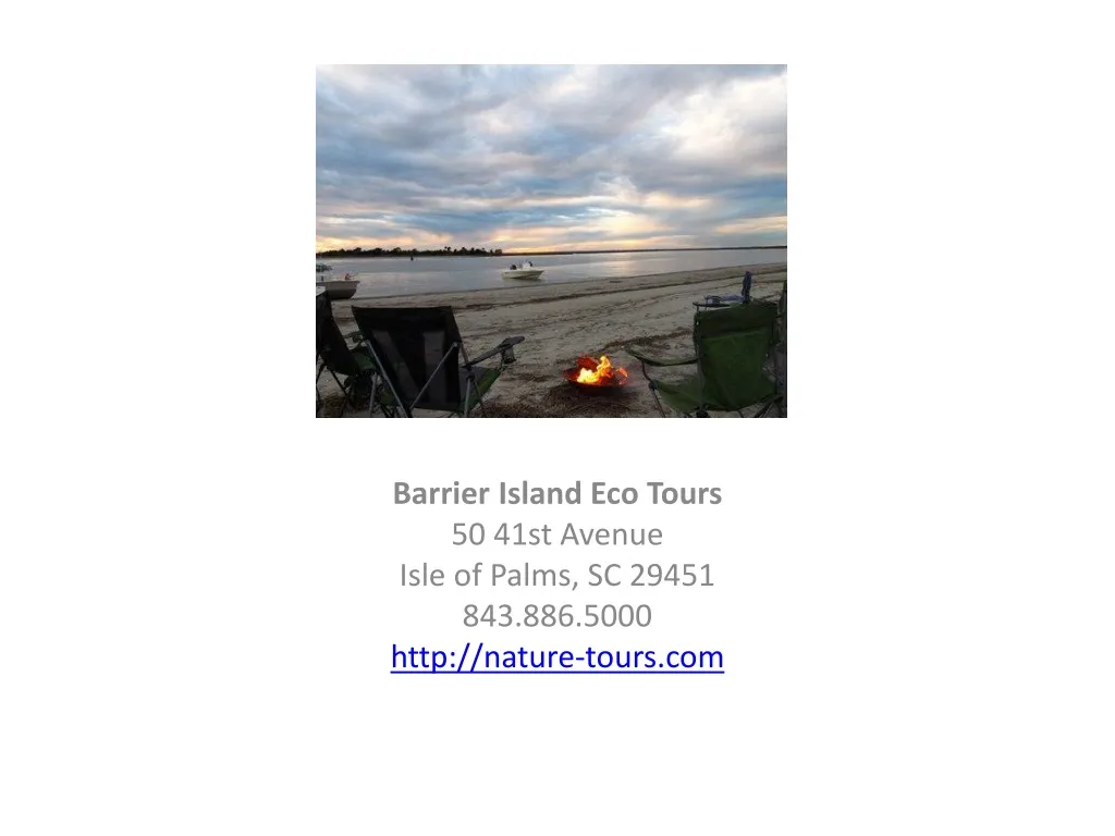 barrier island eco tours 50 41st avenue isle of palms sc 29451 843 886 5000 http nature tours com n.