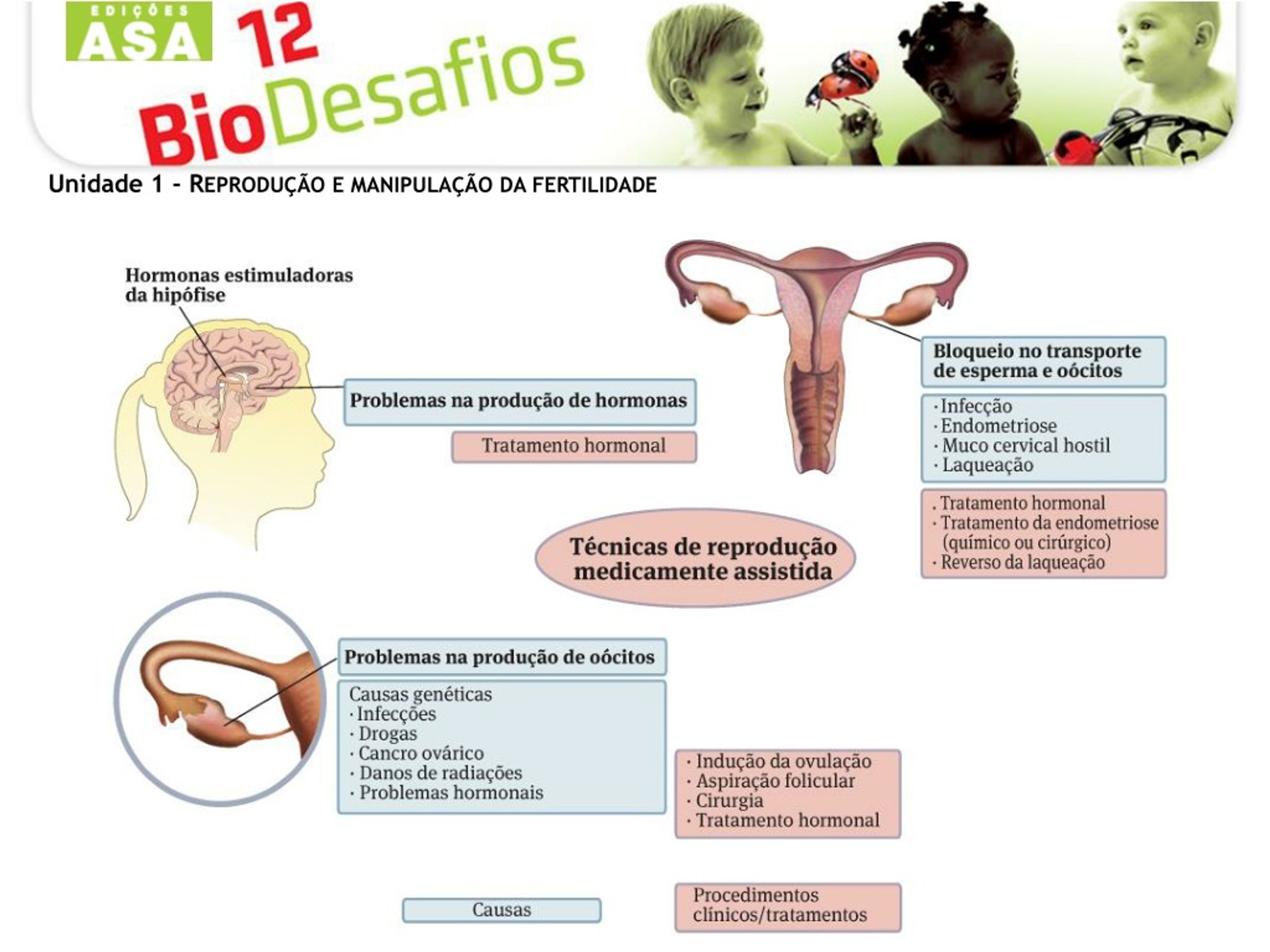 Ppt Reprodução E Manipulação Da Fertilidade Powerpoint Presentation Id1238263 0143