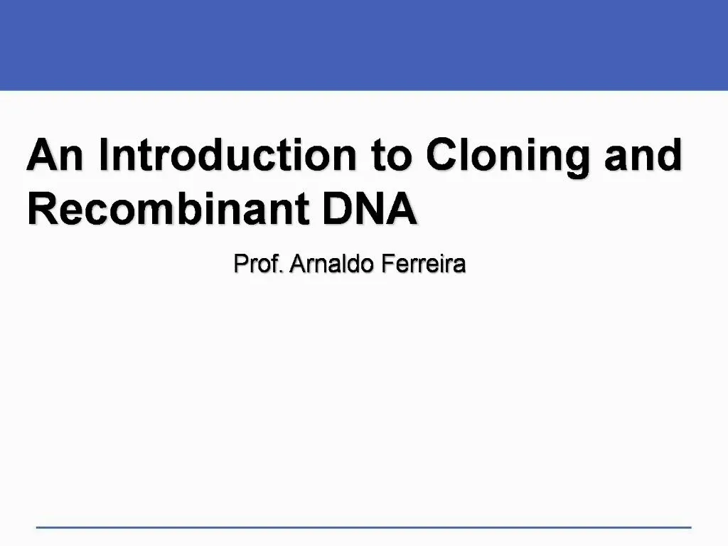 slide1 n.