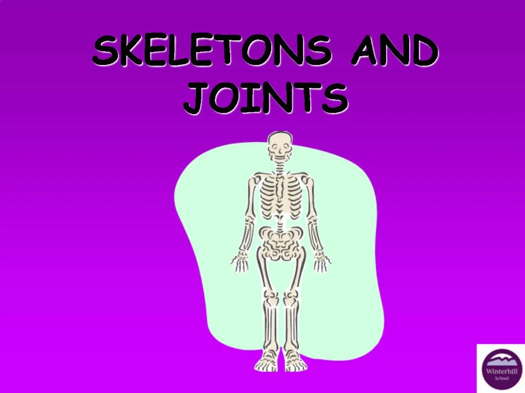 PPT - SKELETONS AND JOINTS PowerPoint Presentation, Free Download - ID ...