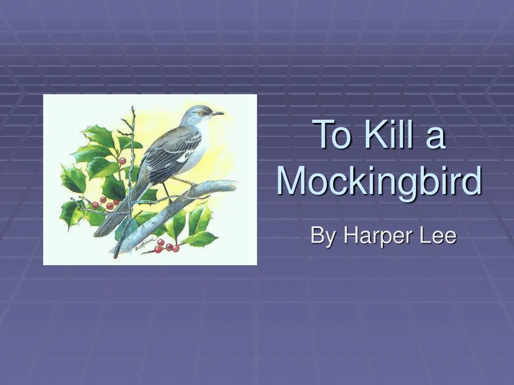 to kill a mockingbird n.