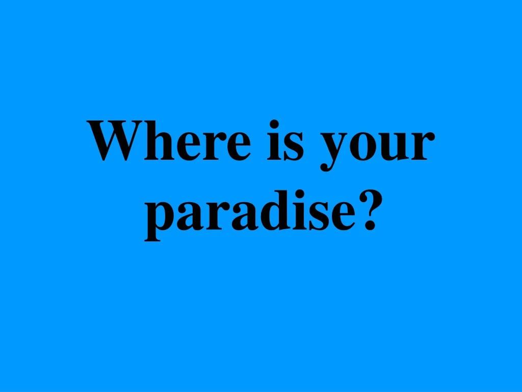 where is your paradise n.