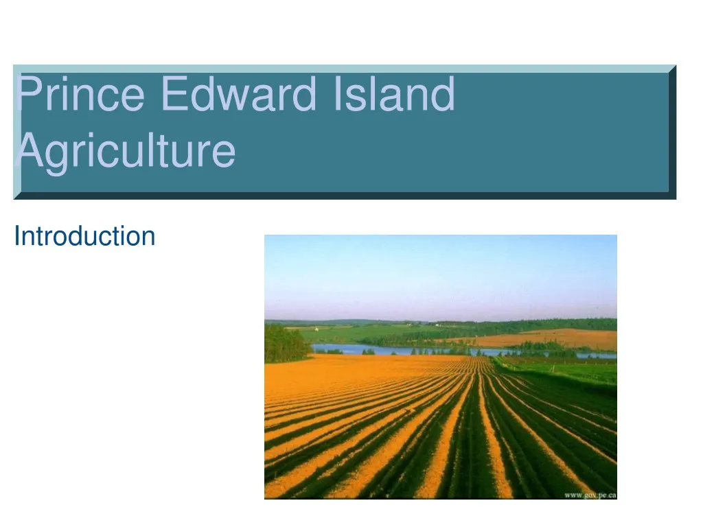 prince edward island agriculture n.