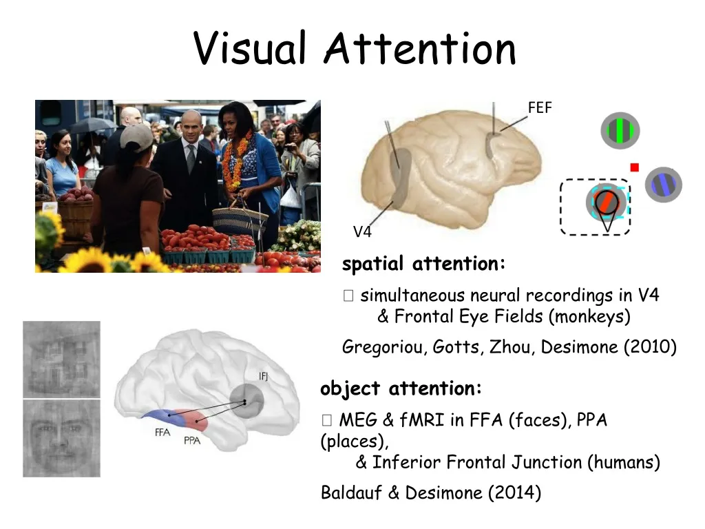 visual attention attention therapy