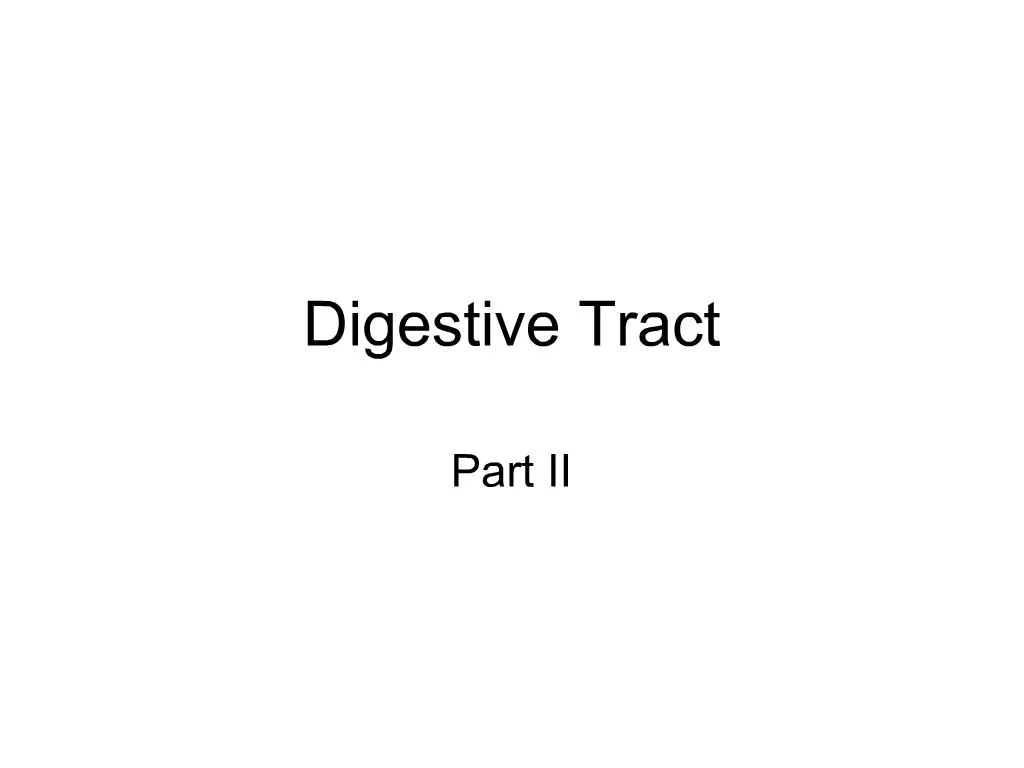 PPT - Digestive Tract PowerPoint Presentation, free download - ID:1278638