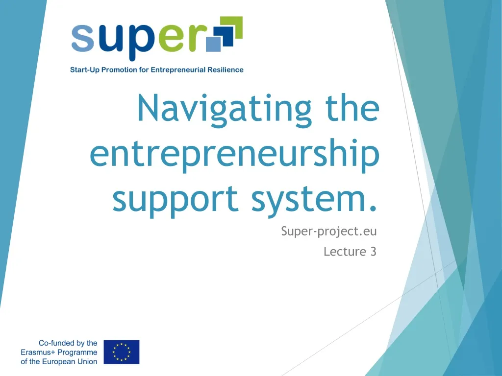 navigating the entrepreneurship support system n.