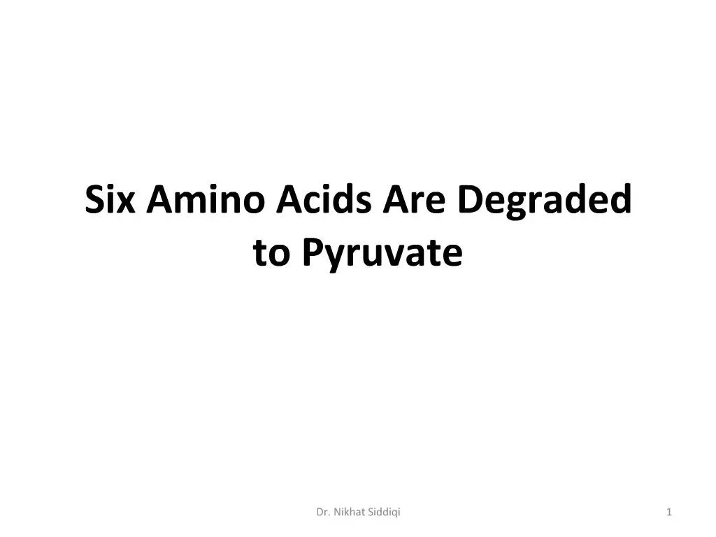 PPT Six Amino Acids Are Degraded to Pyruvate PowerPoint Presentation
