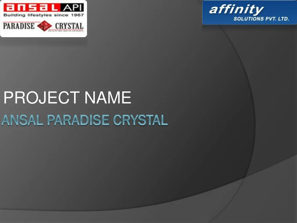 project name n.