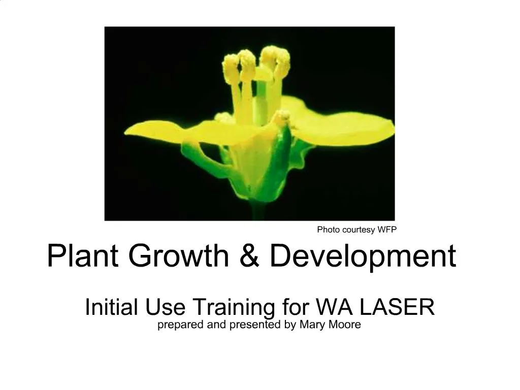 slide1 n.