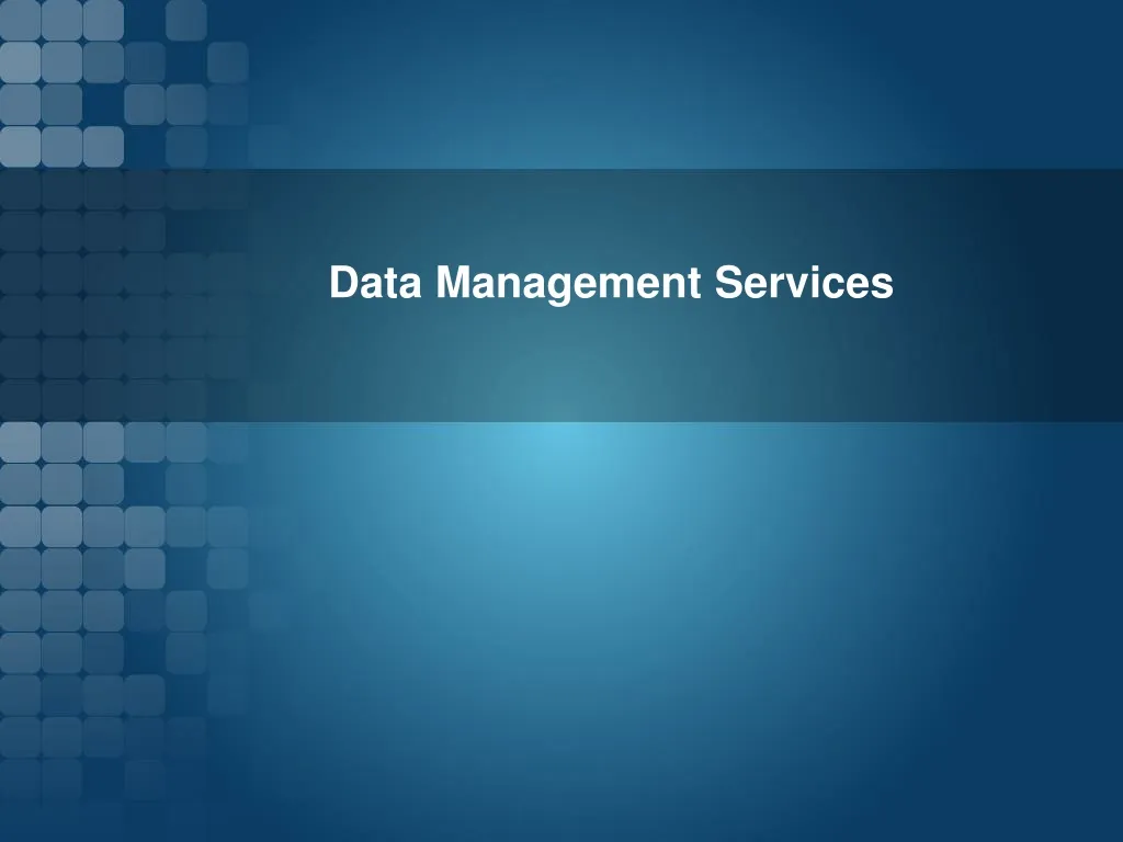 data management services n.