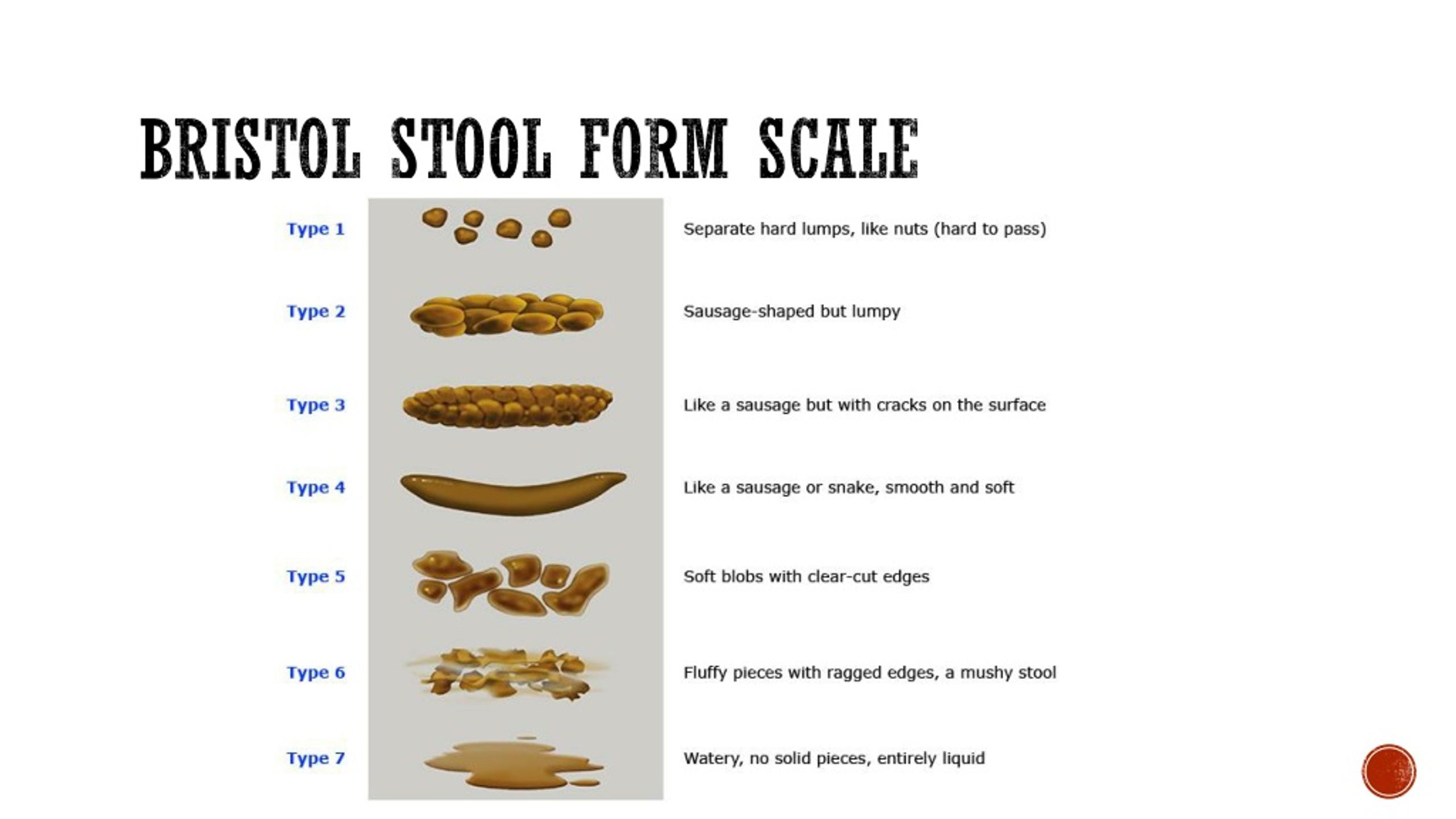 Bristol Stool Form Scale L 