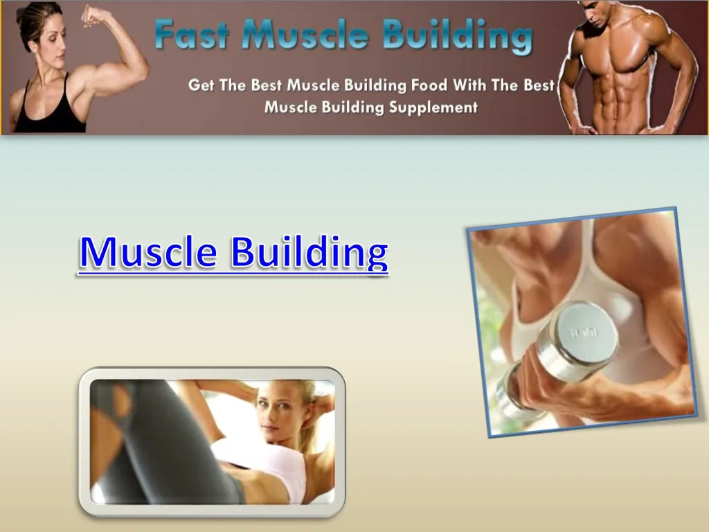 muscle building n.