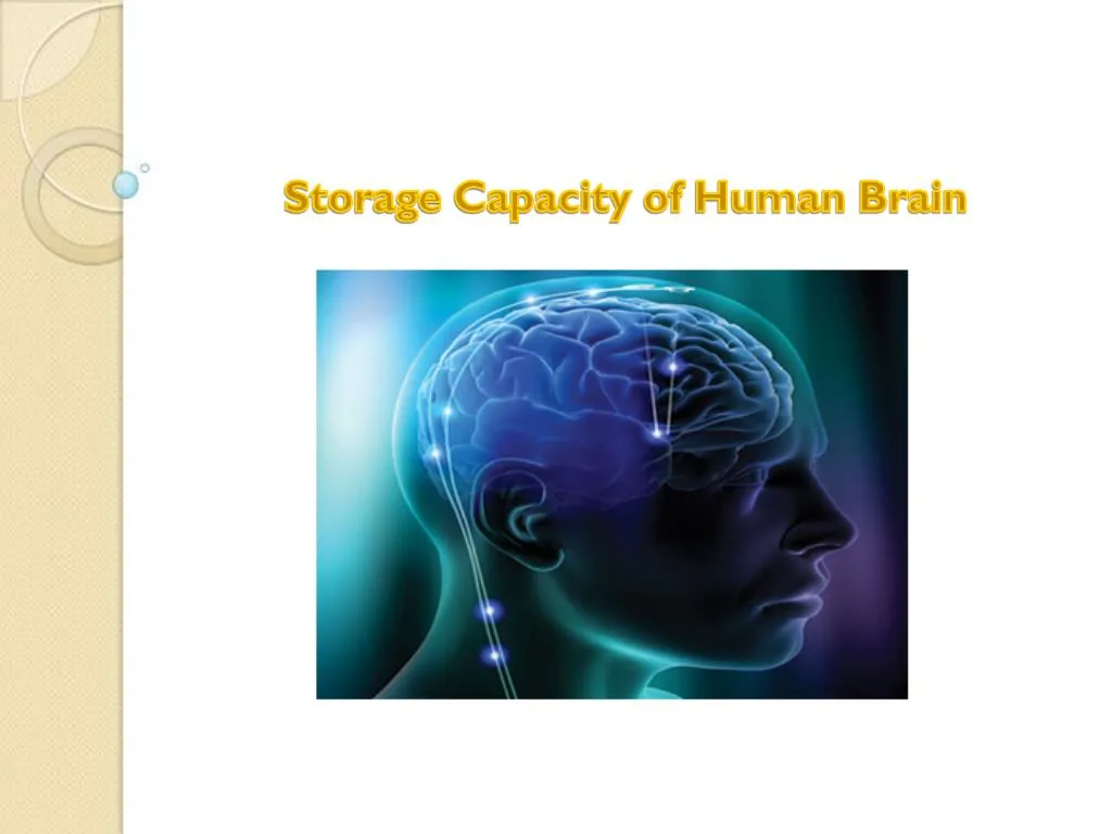 PPT - Memory Storage Capacity Of Human Brain PowerPoint Presentation ...