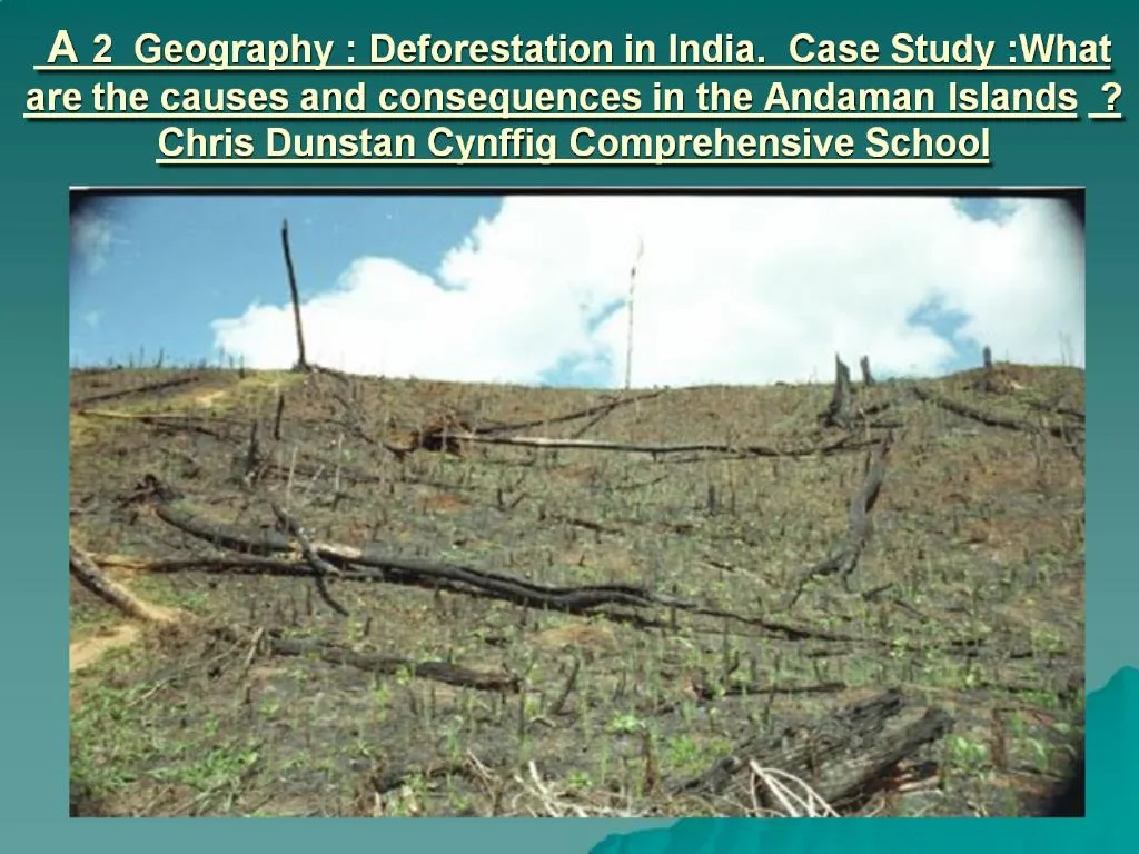 recent case study on deforestation in india