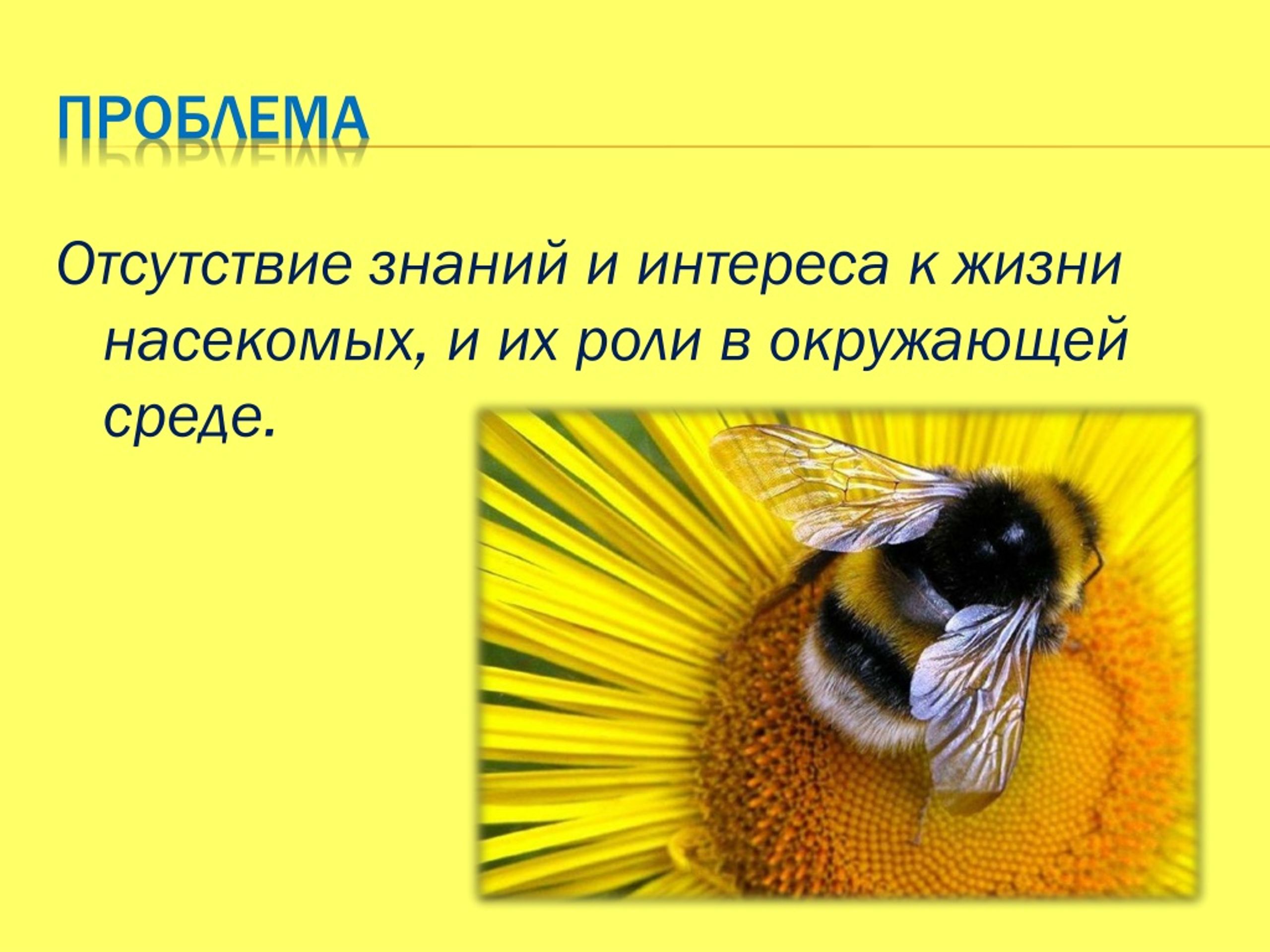 Презентация на тему журнал 18 века трудолюбивую пчелу