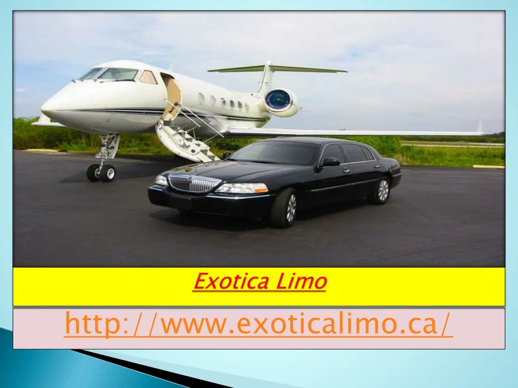 exotica limo n.