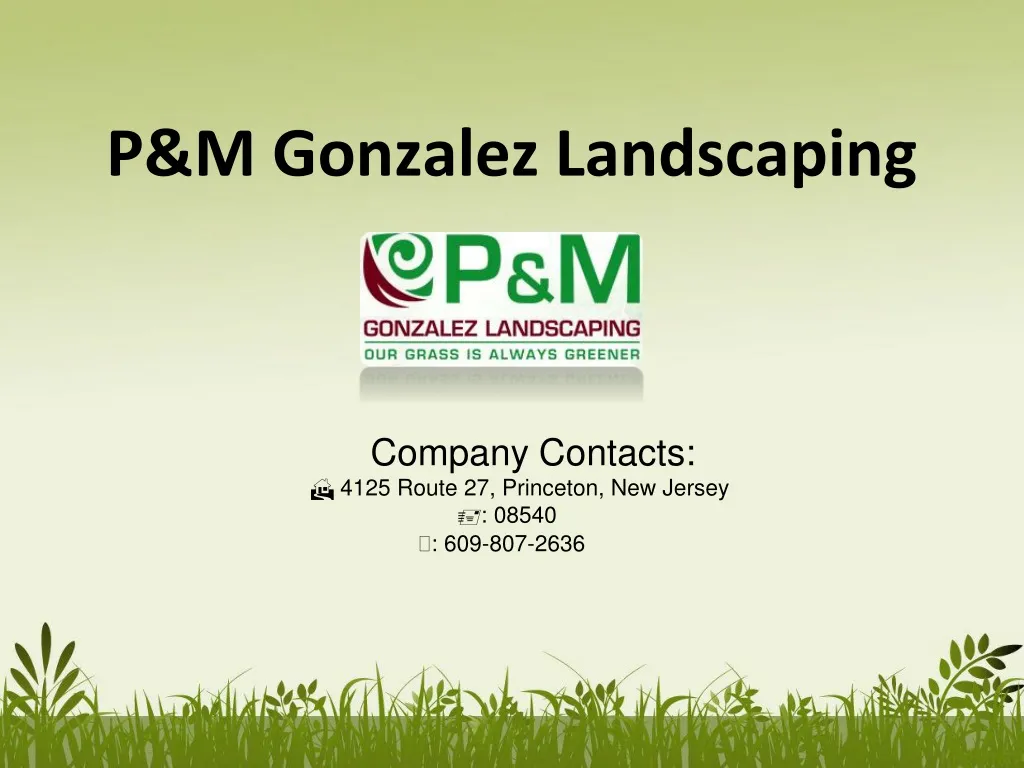 p m gonzalez landscaping n.