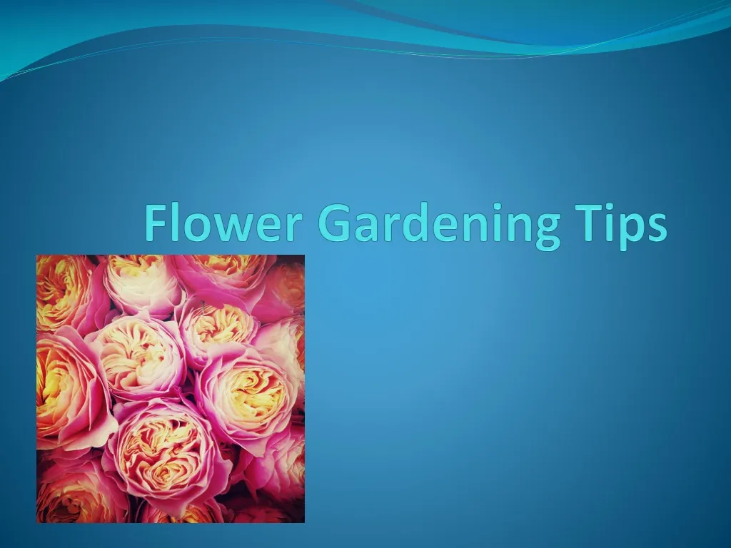 flower gardening tips n.