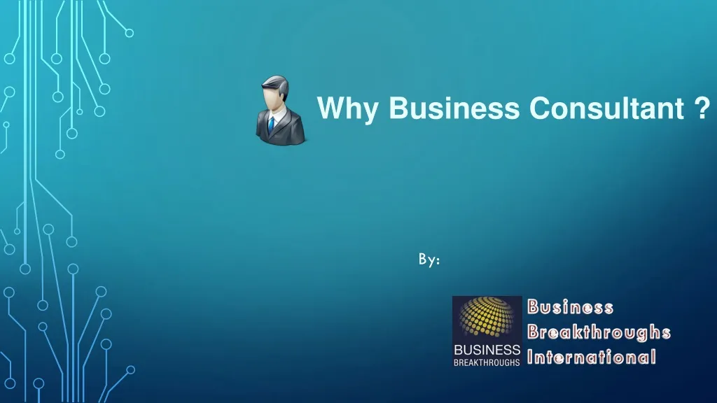 why business consultant n.