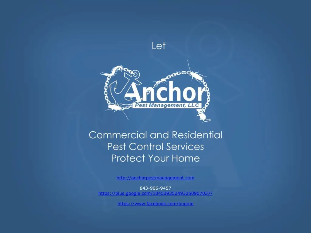 PPT Pest Control in Charleston SC PowerPoint Presentation, free