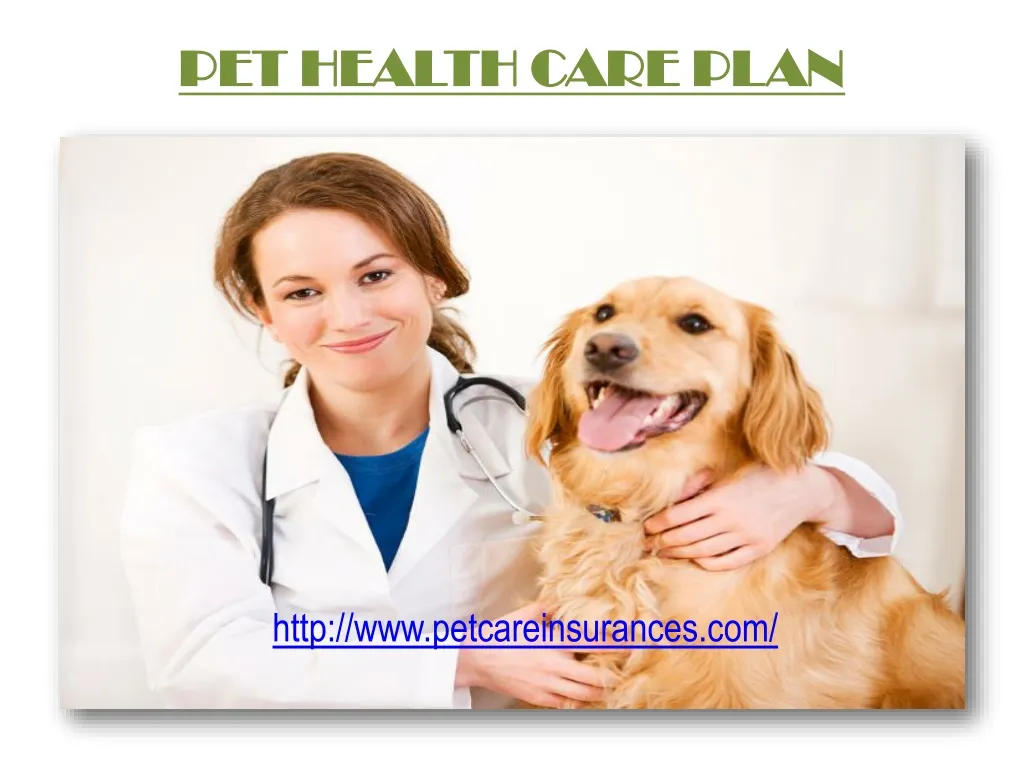 PPT - Pet Health Care Plan PowerPoint Presentation, free ...