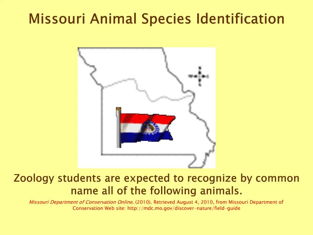 PPT Missouri Animal Species Identification PowerPoint Presentation 