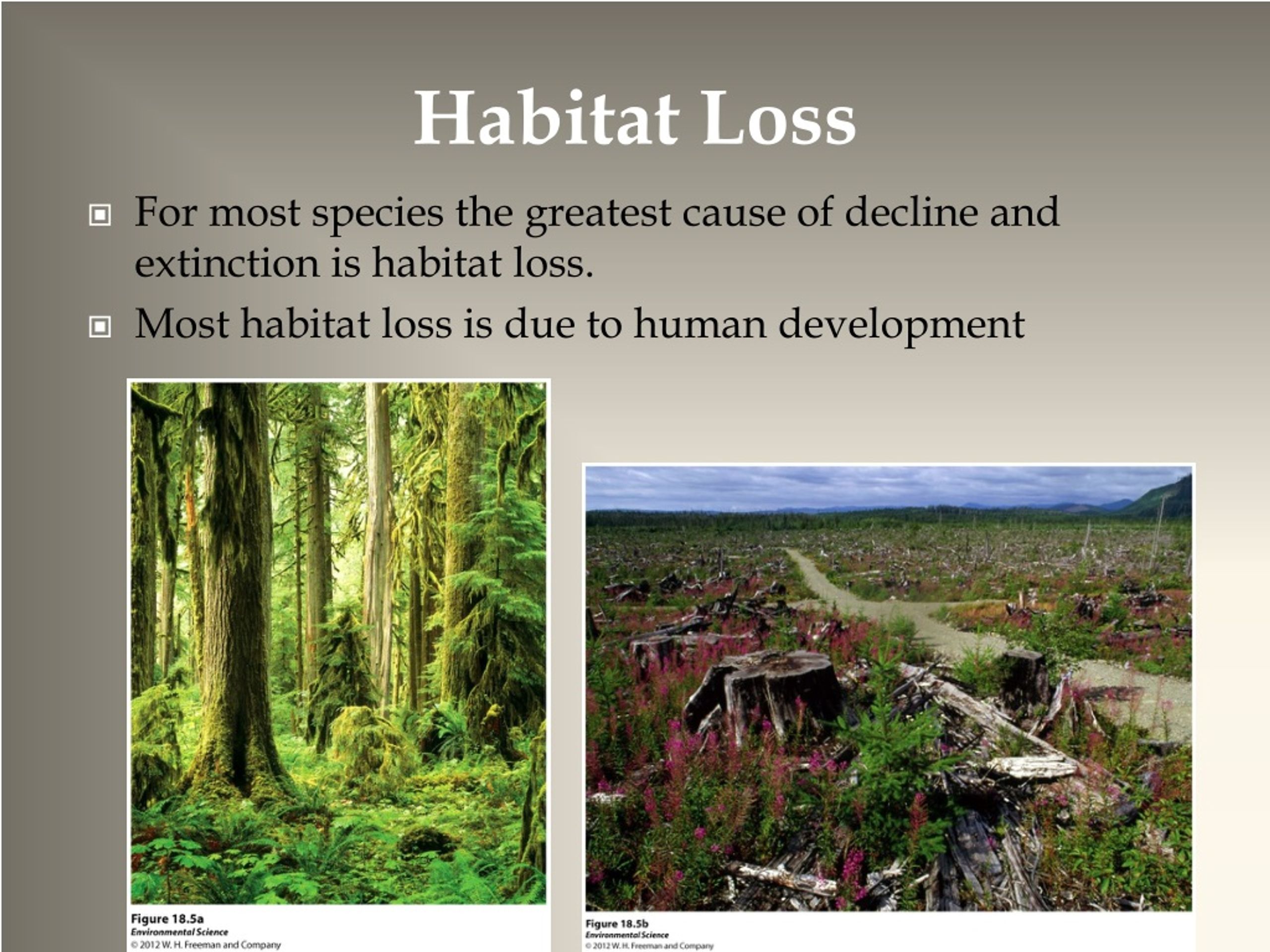 Habitat help. Loss of Biodiversity презентация. Habitat loss. Loss of natural Habitats. Natural Habitats предложения.