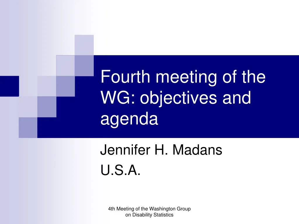 fourth meeting of the wg objectives and agenda n.