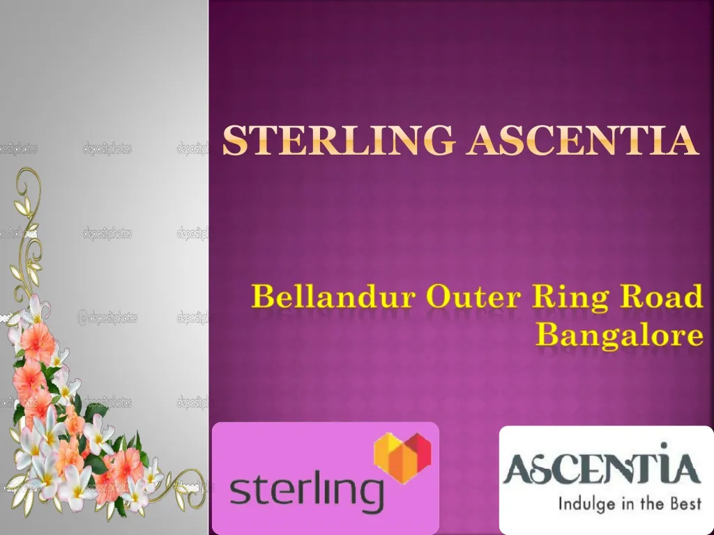 sterling ascentia n.